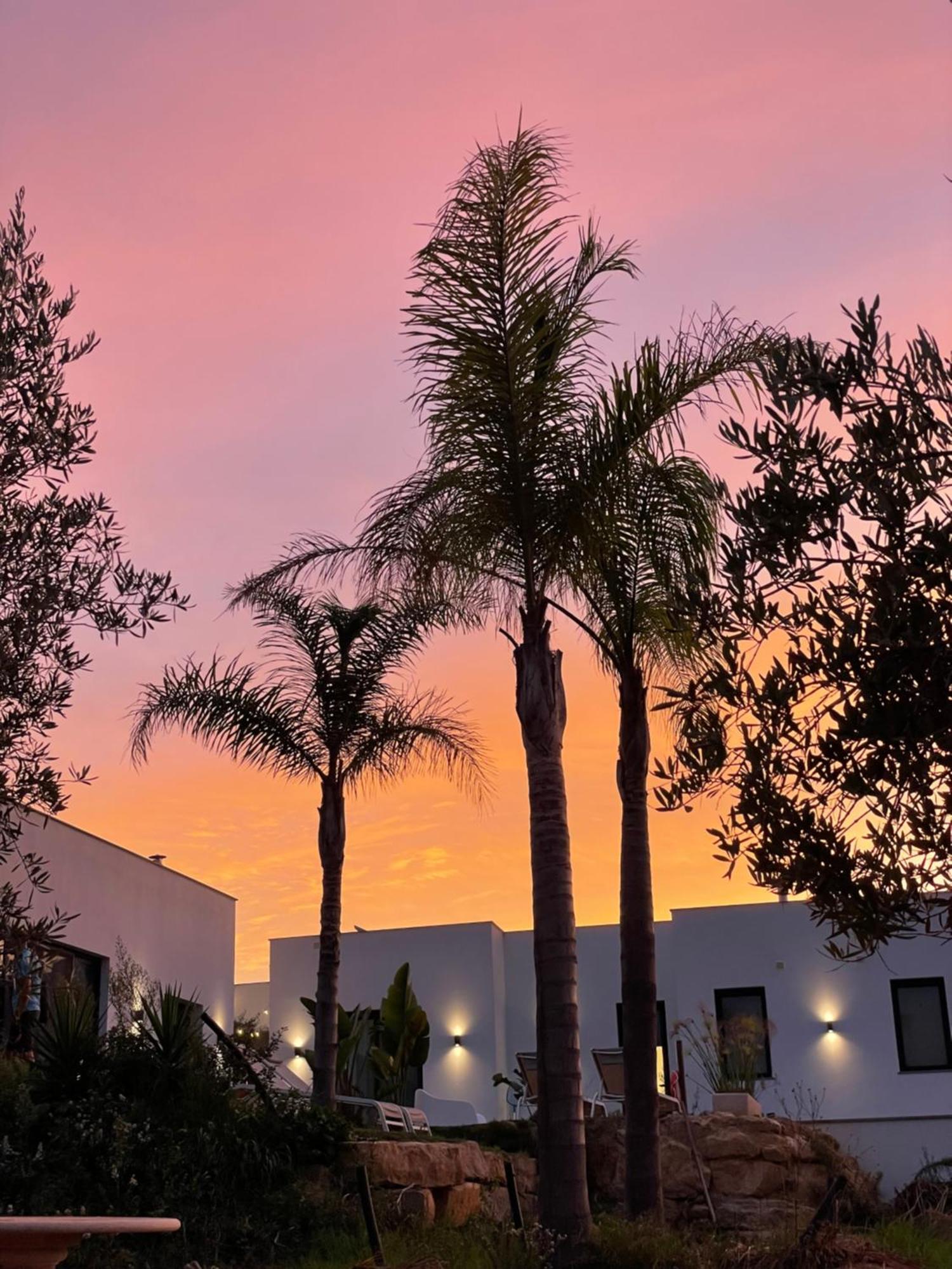 B&B Quinta A Fonte Tavira - Adults Only ภายนอก รูปภาพ