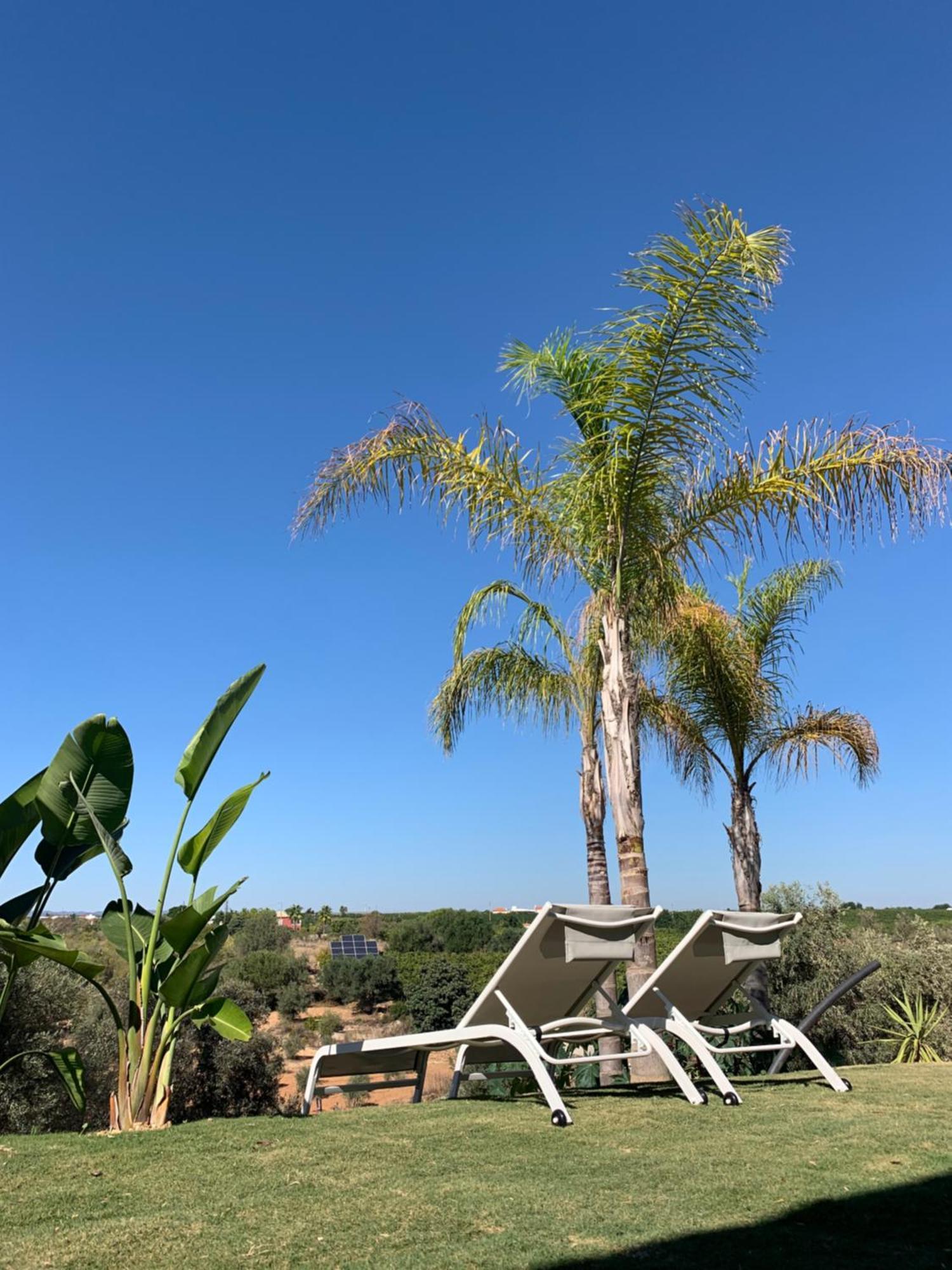 B&B Quinta A Fonte Tavira - Adults Only ภายนอก รูปภาพ