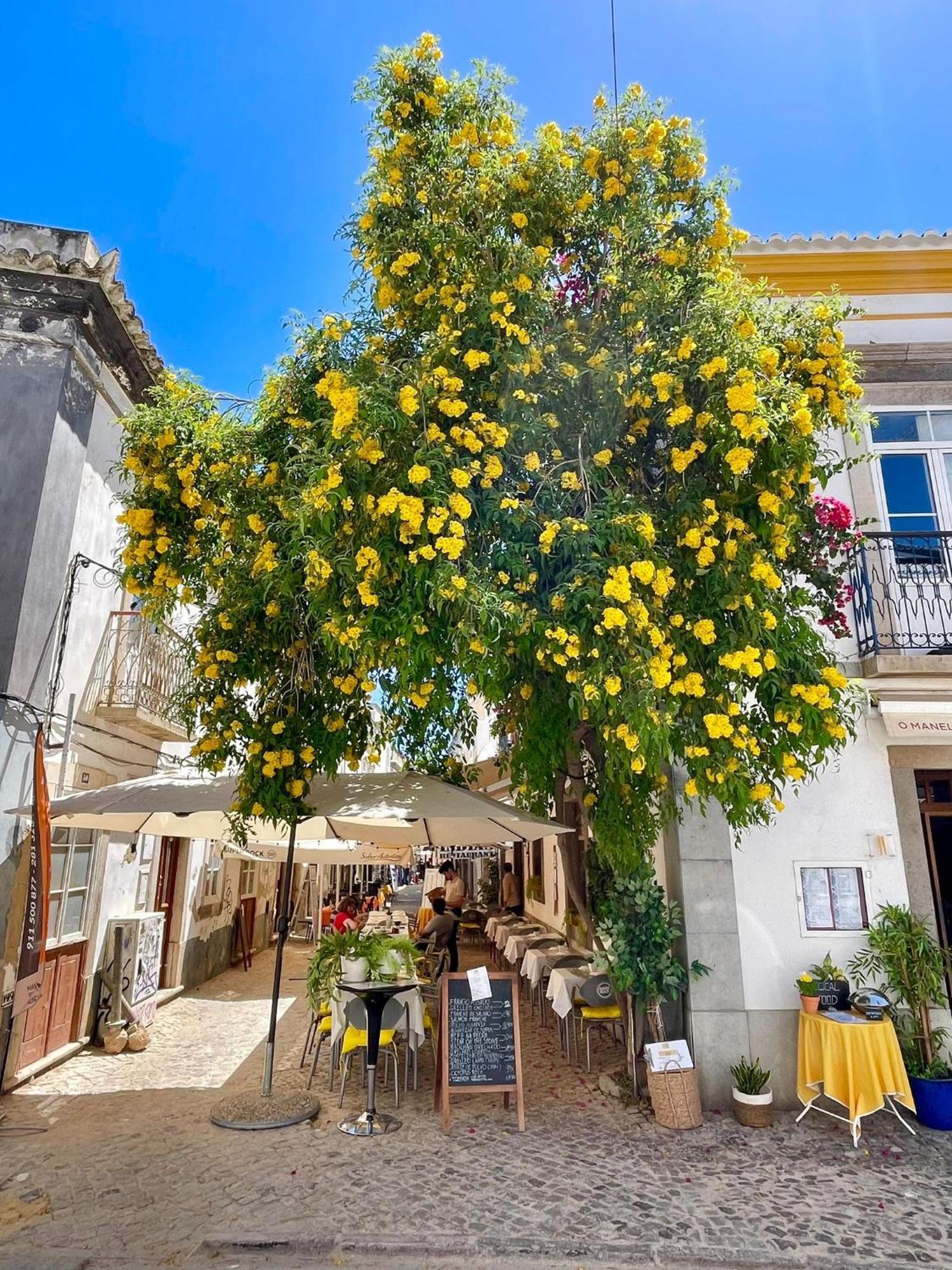 B&B Quinta A Fonte Tavira - Adults Only ภายนอก รูปภาพ