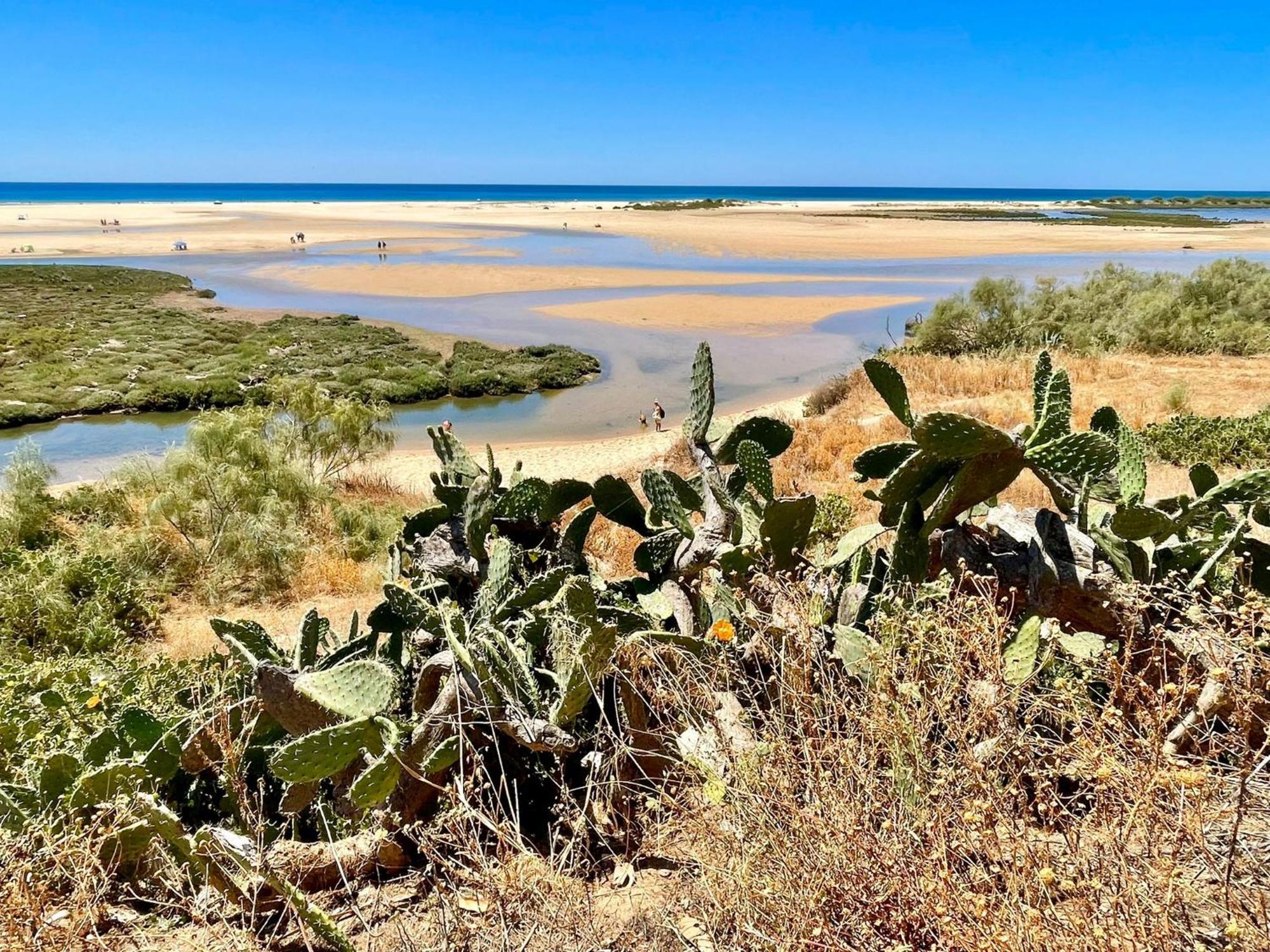 B&B Quinta A Fonte Tavira - Adults Only ภายนอก รูปภาพ